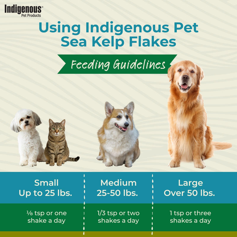 Indigenous Pet Organic Sea Kelp Flakes for Cats - 2.54 Ounce | Natural Dental Care & Fresh Breath Support | Reduces Plaque & Tartar | Boosts Immune, Digestive & Thyroid Health Cat