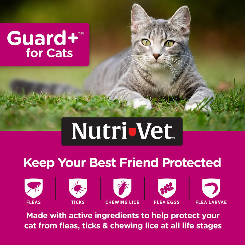 Nutri-Vet Guard+ for Cats, Flea and Tick Prevention Spot On Drops, Topical Treatment for Cats 1.5 lbs and Up, Kitten Essentials, Waterproof Formula, 3 Monthly Doses, 90 Days of Protection