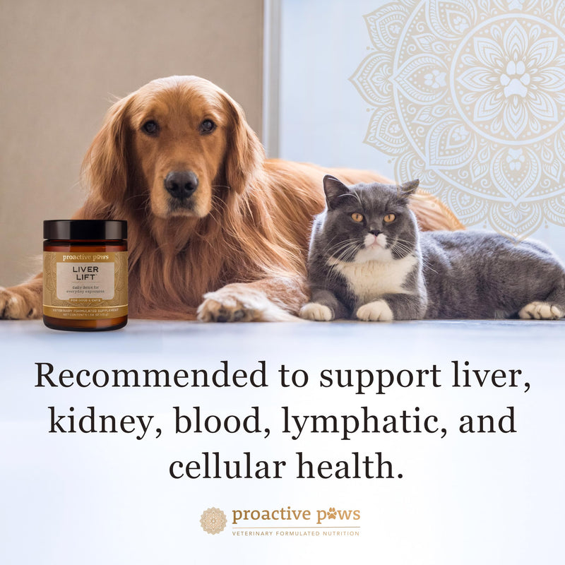 PROACTIVE PAWS Liver Lift – Daily Detox & Organ Support Supplement for Dogs & Cats, Supports Liver, Kidney, and Metabolic Health