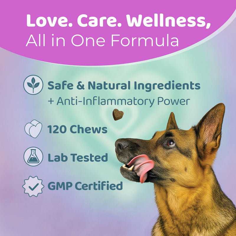 Hip and Joint Supplements for Dogs – 120 Soft Dog Chews – Natural Salmon Flavor Hip and Joint Chews for Dogs - Dog Treats for All Breeds & Sizes 360g