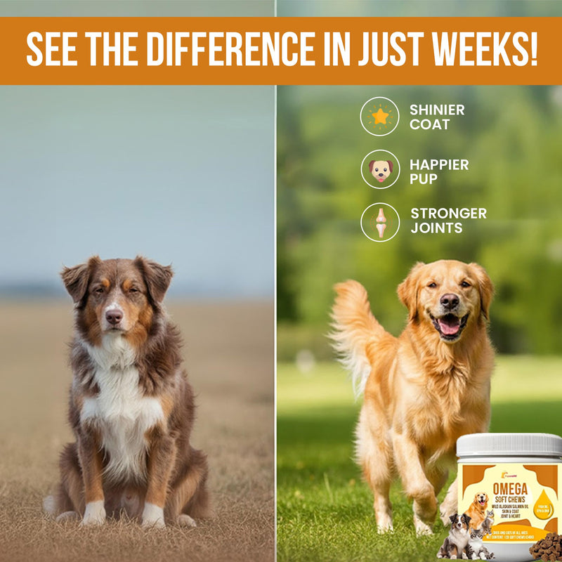 10-in-1 Dog Multivitamin Soft Chews with Glucosamine Chondroitin, Probiotics & Omega-3 - Dog Supplement for Joint, Skin, Coat Shine, Heart, Digestive & Immune Defense - Peanut Butter Flavor 120 Count