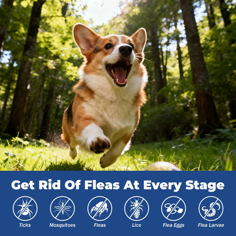 Flea and Tick Treatment for Dogs (nitenpyram), Fast-Acting Oral Flea Treatment for Dogs Over 25+ lbs, Flea Medication Tablets Start Killing in 30 Minutes, 6 Doses