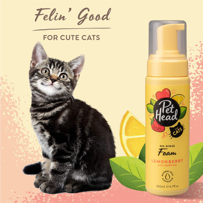 PET HEAD Felin’ Good Foam Shampoo for Cats 6.7 fl. oz. Fruity Scent. No-rinse and Quick-drying Cat Shampoo. Hypoallergenic with Natural & Vegan Ingredients. Gentle Formula for Kittens. Made in USA - BeesActive Australia