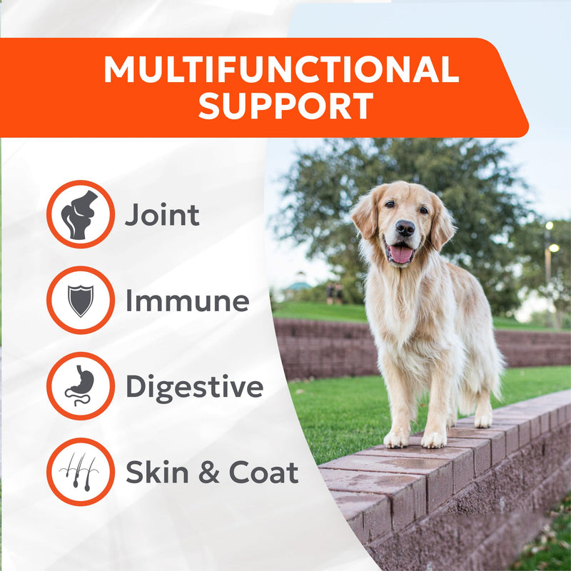 Nutramax Cosequin Joint Health Supplement with Multifunctional Support for Dogs, Soft Chews with Glucosamine, Chondroitin, Omega-3s, and Postbiotics, 90 Count