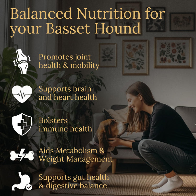Basset Hound Multivitamins, 90 Count, Made in the USA with Real Bacon.