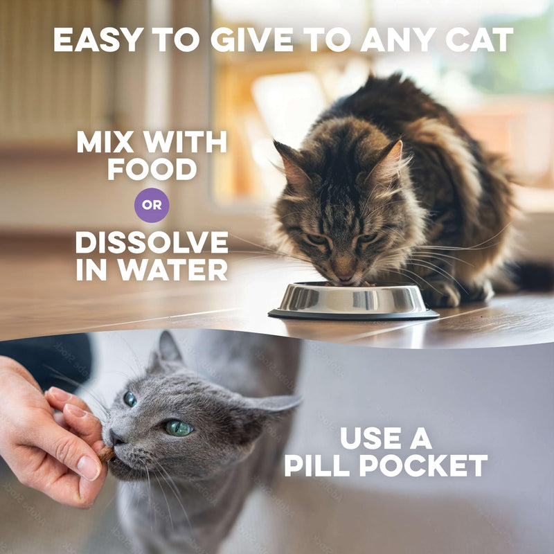 Anti Aggression for Cats Calming Remedy, A Natural Diffuser and Cat Calming Aid for Stress, Spiteful Spraying, Scratching & Territorial Behavior, Non-Drowsy, 400 Odorless, Tasteless Pills Kitten - 400 Pills