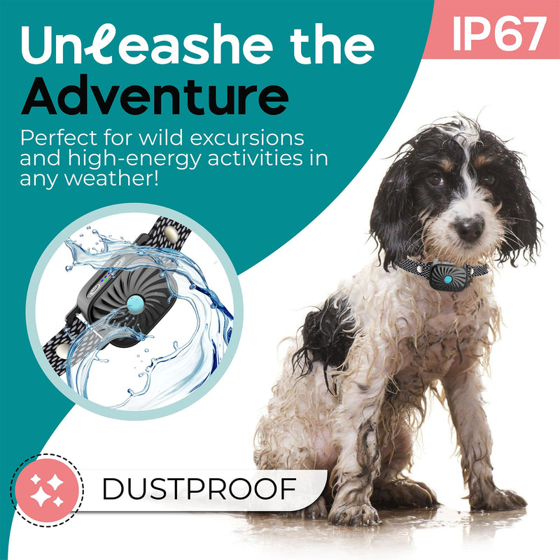 Bark Collar for Small/Medium Dogs, No Shock Anti Bark Collar, Rechargeable Anti Barking Collar w/2 Vibration & Beep Modes, Waterproof Shockless Smart Dog Stop Barking Control Device (Black) Black - BeesActive Australia