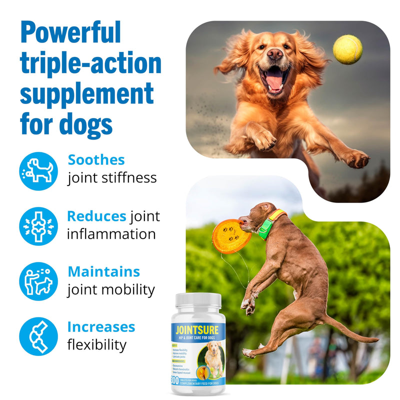 JOINTSURE Joint Supplements for Dogs – 120 Tabs, Joint Structure & Mobility for Dogs| Advanced Formula 120 Tablets