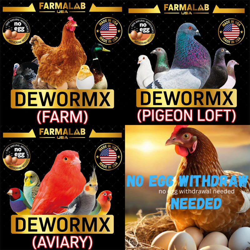 Farmalab Natural Dewormer Internal & External 100 Tabs Poultry - Vitamin for Poultry Rooster Hen Chicken Baby Chick, hens - BeesActive Australia