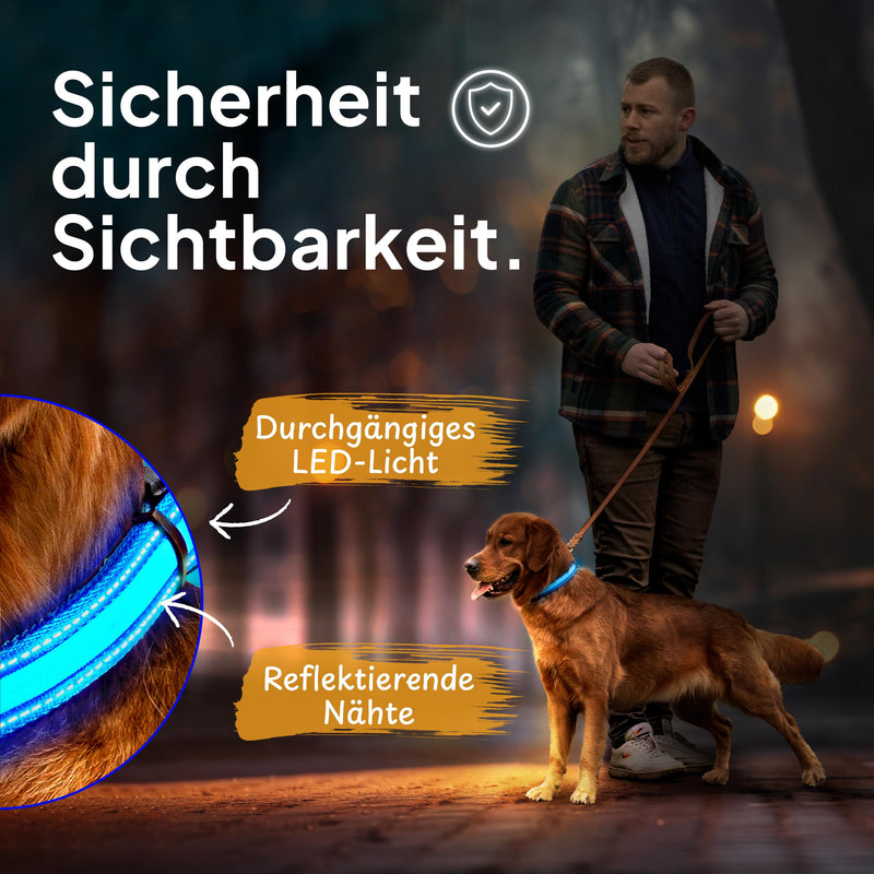 Tierhood Luminous Dog Collar - Luminous Collar for Small and Large Dogs - LED Dog Collar Rechargeable - Durable, Weatherproof & Comfortable - Ideal for Night Walks - Blue, Size M - BeesActive Australia
