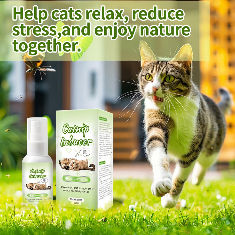 JoanofArc Catnip Spray for Cats, 100% Natural Dual-Plant Formula for Cats & Kittens, Highly Potent for Energizing Play & Toy Renewal, Calming Stress Relief for Indoor Cates 60 ML