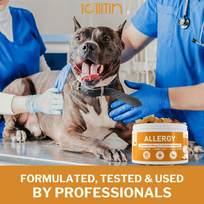 Allergy Relief for Dogs - 120 Chews - Seasonal Allergy, Immune Support, Skin and Coat Health - All Natural, Made in USA - BeesActive Australia