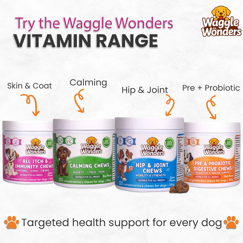 Dog Treats for Itchy Skin - All Itch & Immunity Dog Chews with Salmon Oil, Probiotics & Colostrum, Scratching, Licking & Chewing, 120 Chews