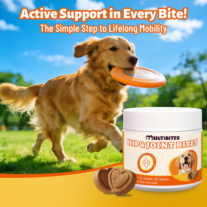 330 Bites Joint Supplement for Dogs - Hip & Joint Health with MSM,Fish Oil,Glucosamine for Dog Chews - Advanced Mobility Support for All Breeds and Ages - Chicken Flavor