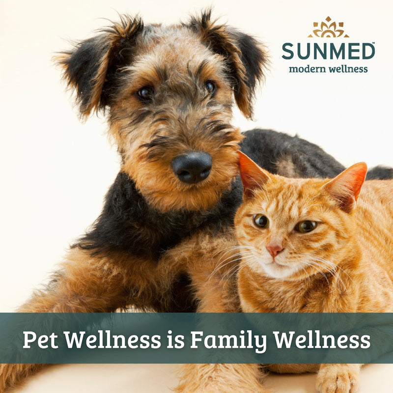 Sunmed Wellness Chew for Dogs with Pumpkin & Hemp Extract – Supports Digestive Health, Wellness & Balance – All-Natural, Safe & Tasty Chews for Dogs – 40ct Digestive Health Support Chews