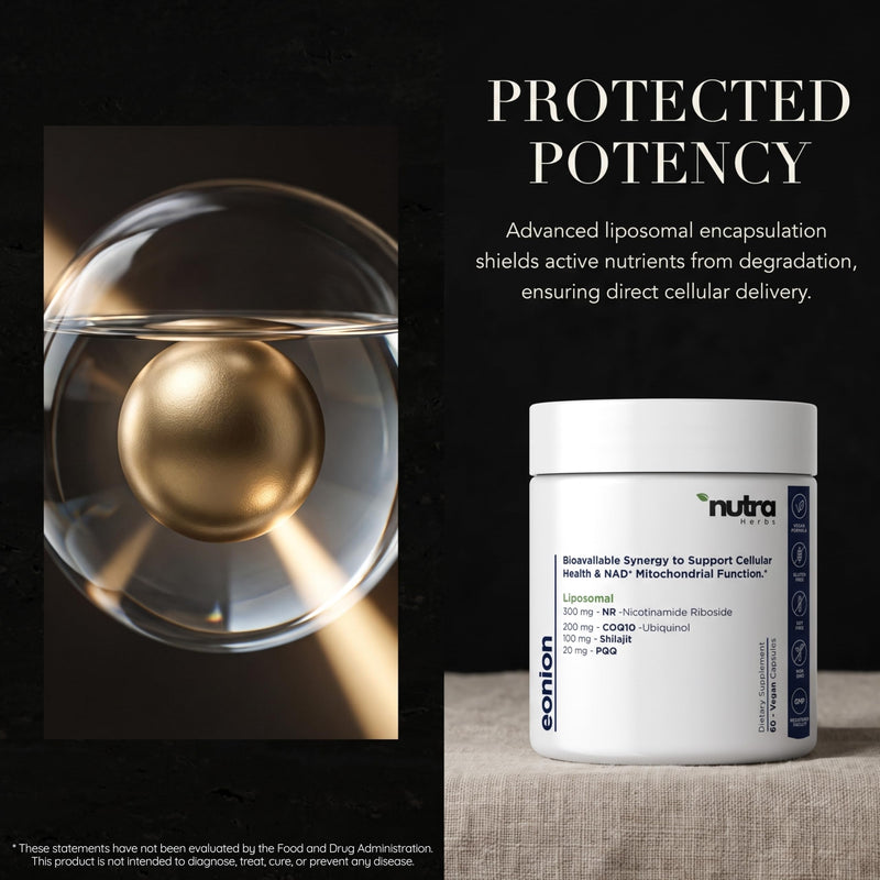 Eonion| Advanced Liposomal NAD+ Complex • 300mg NR, 200mg Ubiquinol CoQ10, Shilajit & PQQ • Mitochondrial Support Supplement for Cellular Energy, Longevity & Cognitive Focus • 60 Vegan Capsules