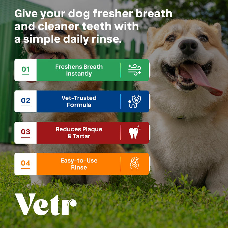 Vetr Dental Formula for Dogs - Peppermint Flavored Oral Care Liquid Additive with Enzymes for Breath and Teeth Support - Vet-Formulated in USA (16 oz) 16 oz