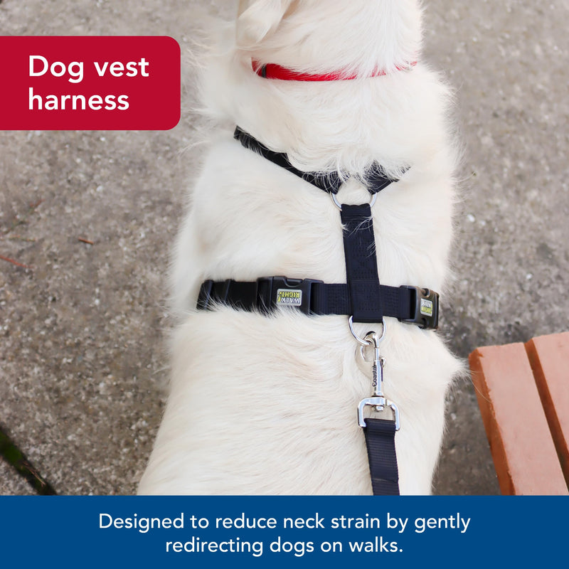 Coastal Pet Walk Right Front-Connect No-Pull Padded Dog Harness - Adjustable Dog Harness - Small & Large Dog Harness - Comfortable Harness for Dogs - Quality Dog Supplies - Black, LRG (26"-38") Large - 24"-38" girth - BeesActive Australia
