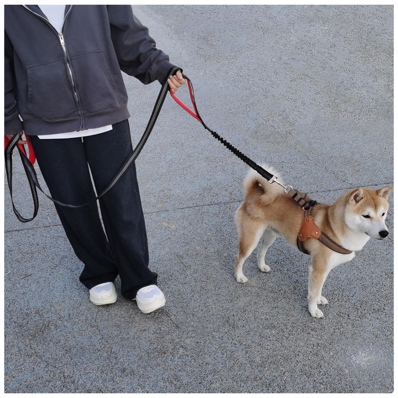 BTINESFUL Dog Leash 8ft with 3 Handles, Traffic Padded Triple Handle Leash, Shork Absobing Bungee Dog Leash, Reflective Three Handles Dog Leash for Control Safety Training Large Medium Dogs (Black) 1 in x 8 ft Black - BeesActive Australia