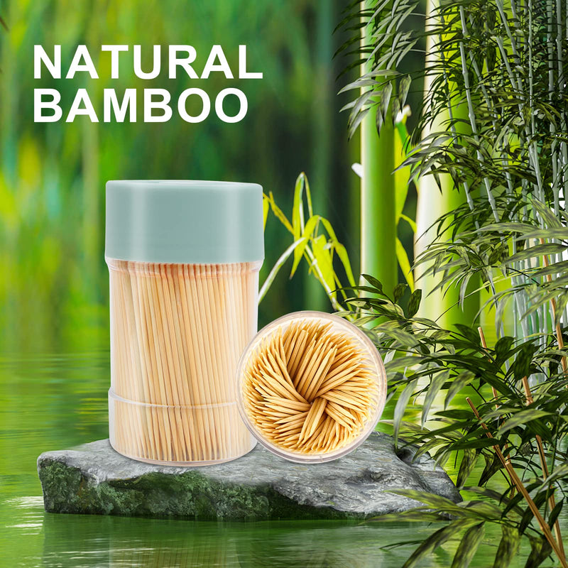 Bamboo Toothpicks [3000 Count] - With Reusable Toothpick Holder, Sturdy Smooth Finish Tooth Picks, for Party, Appetizer, Olive, Barbecue, Fruit and Teeth Cleaning, Green. - BeesActive Australia
