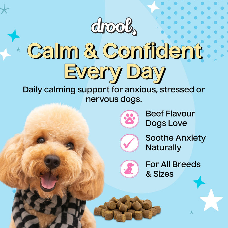 Drool Pet Products | Calming Dog Treats for Anxiety Relief | Natural Beef-Flavoured Dog Calming Supplement for Stress, Fireworks, Travel & Separation | Anxiety Relief for Dogs | 180g (60 Tablets)