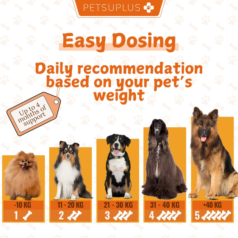 Skin & Coat. Dog Supplements & Vitamins with Salmon Oil for Dogs UK. Prevents and Improves Symptoms such as Itching, Dry Skin, Irritation, Hair Loss, and Irritability. 120 soft chews