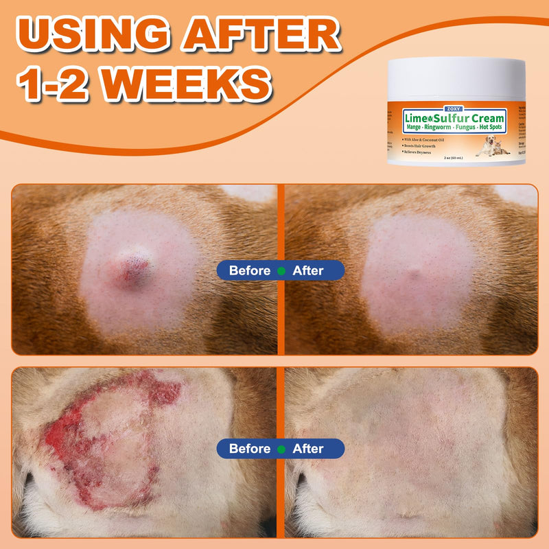 ZOXY Lime Sulfur Cream, Mange Treatment Dogs, Ringworm Treatment for Cats & Dogs, Soothes Itchy, Dry, Inflamed Skin, Promotes Hair Regrowth, Low Odor, No Rinse Needed, 2oz