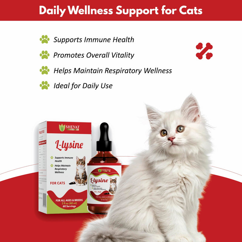 L-Lysine Liquid Supplement for Cats – Immune & Respiratory Support – Supports Eye Health, Sneezing & Runny Nose – 60ml Liquid Drops – Roast Chicken Flavor