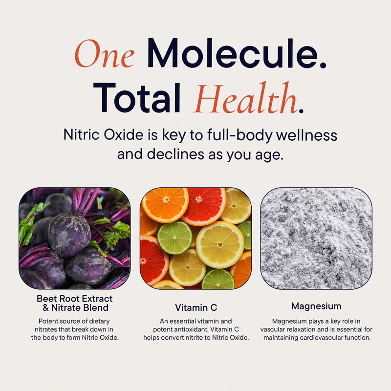Berkeley Life Nitric Oxide Foundation, Full-Body Circulatory Support - Nitric Oxide Supplements for Men & Women - Beet Root Powder Supports Healthy Blood Pressure, Heart & Cardiovascular Health 60 Count (Pack of 1)