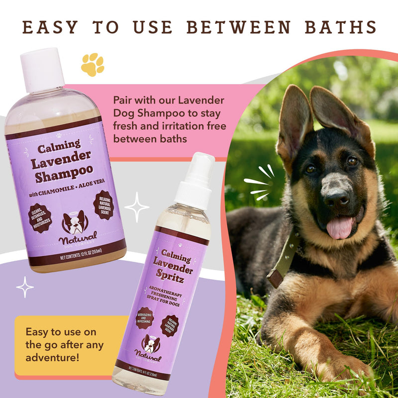 Natural Dog Company Calming Lavender Spritz for Dogs, 8oz – Deodorizing & Moisturizing, Soothes Skin, Conditions Coat, Hypoallergenic, Alcohol-Free, USA Made - BeesActive Australia