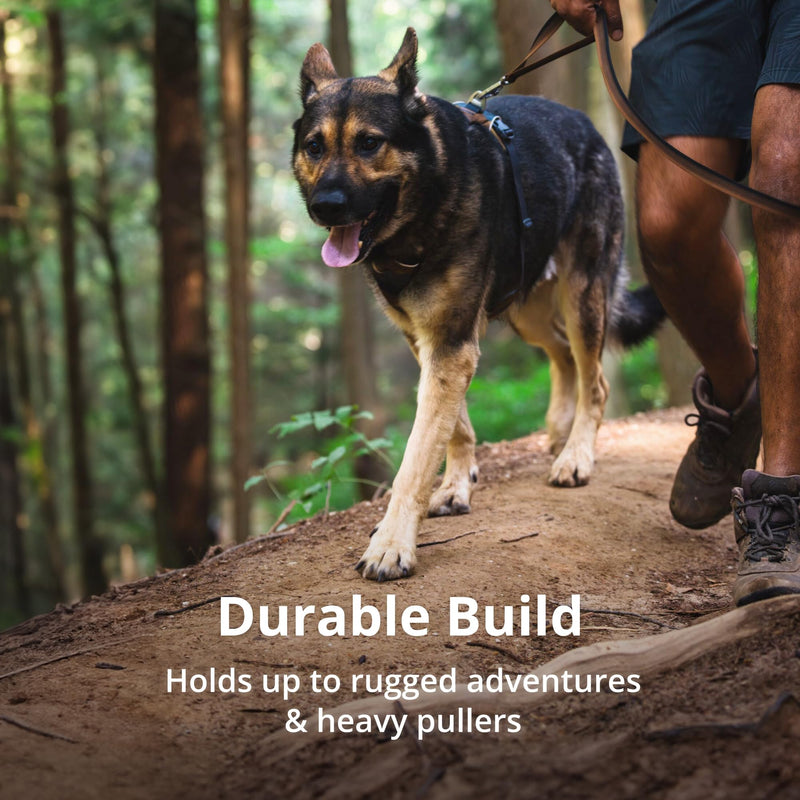 Ruffwear, Front Range Dog Harness, Reflective and Padded, No Pull Harness for Training and Everyday, Basalt Gray, Large/X-Large - BeesActive Australia