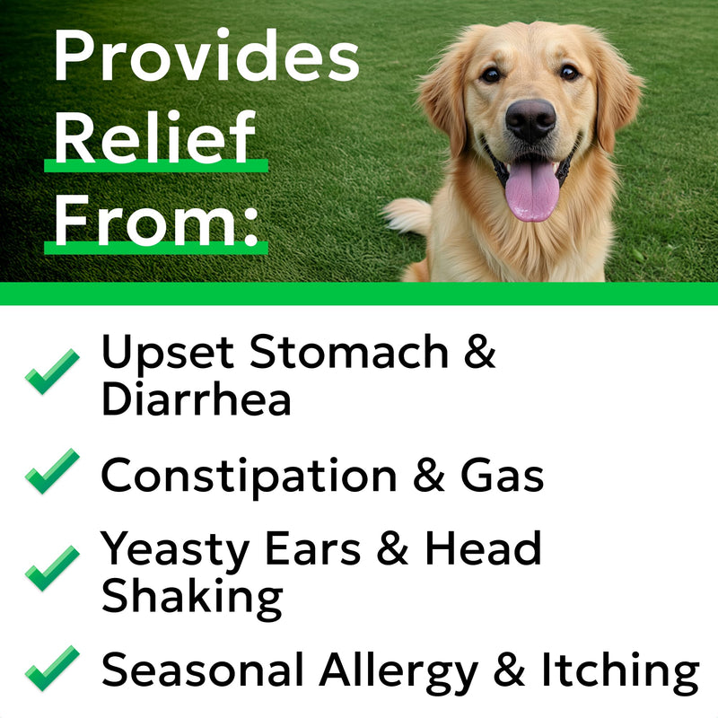 BARK&SPARK Dog Anal Gland Chews Aid + Dog Probiotics for Digestive Health & Enzymes - Prebiotics & Digestive Enzymes Supplement for Dogs Digestion & Gut Health - Diarrhea, Gas, Upset Stomach Relief