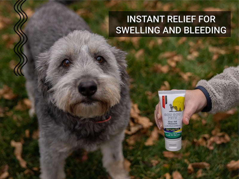 First Aid Ointment Holistic Natural Derived Herbal for Dogs, Cats, Horses for Wounds: Minor Cuts, Bleeding, Abrasions, Slow-Healing Wounds, Open and Puncture Wounds – Made in USA – 1 oz - BeesActive Australia