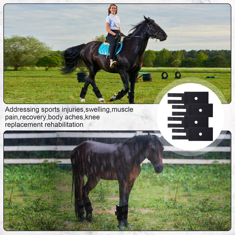 4 Pack Ice Pack Wraps for Horse Knee 5" x 13" Cooling Pack Wrap with Flexible Straps for Horse Injuries, Reusable Ice Boot Cold Pack for Horse Leg Hock Joint - BeesActive Australia