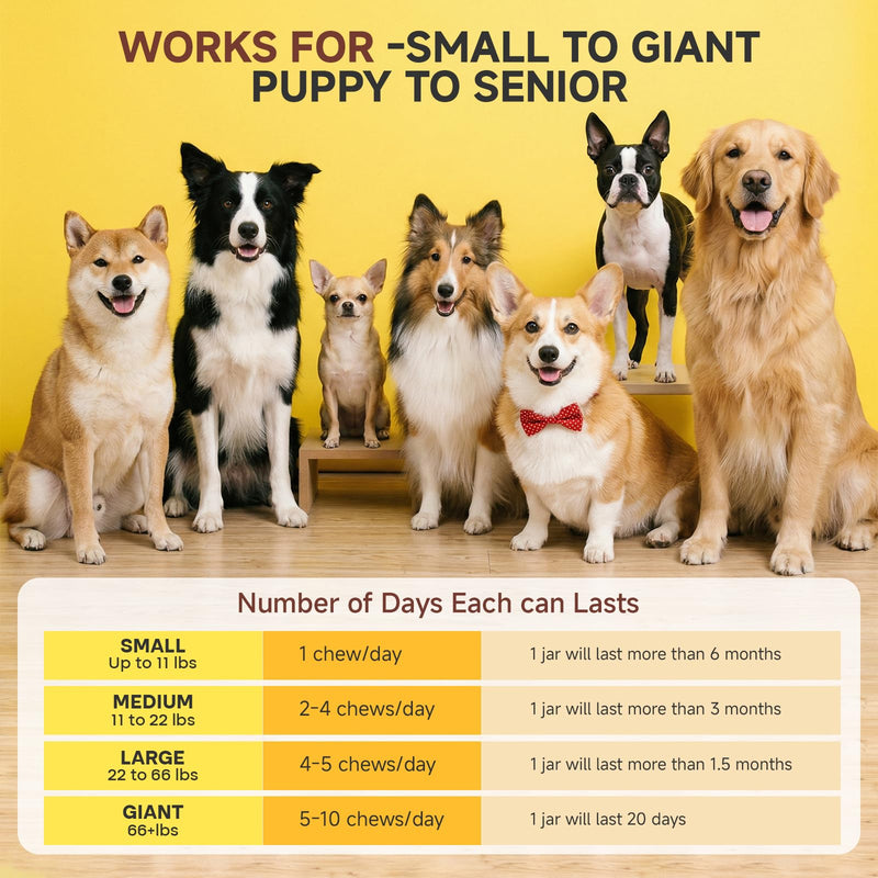 Amino Acids for Dogs,Dog Vitamins and Supplements, Support Immunity, Digestion, Skin & Coat, Muscle Health, Contains Lysine, DL-Methionine and Taurine