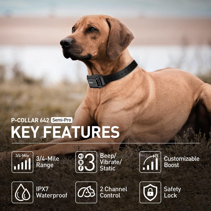 Petory Dog Training Collar with Remote – 4000Ft,Waterproof & Rechargeable Static Collar for 10-120lbs Dogs, Adjustable Beep, Vibration, Safe Static, and Boost Static for Effective Training Orange One Collar - BeesActive Australia