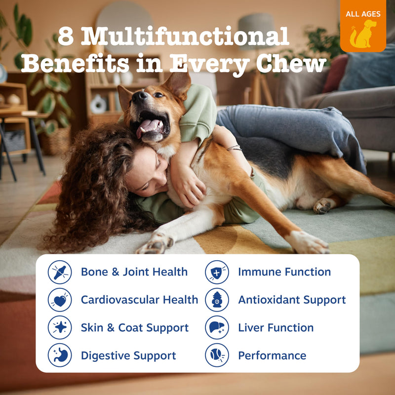 Zesty Paws Multivitamin Treats for Dogs, Glucosamine Chondroitin Joint Support + Digestive Enzymes & Probiotics, Grain Free Dog Vitamins and Supplements for Skin & Coat, Peanut Butter - 90ct Peanut Butter - 8-in-1 90 Count (Pack of 1)