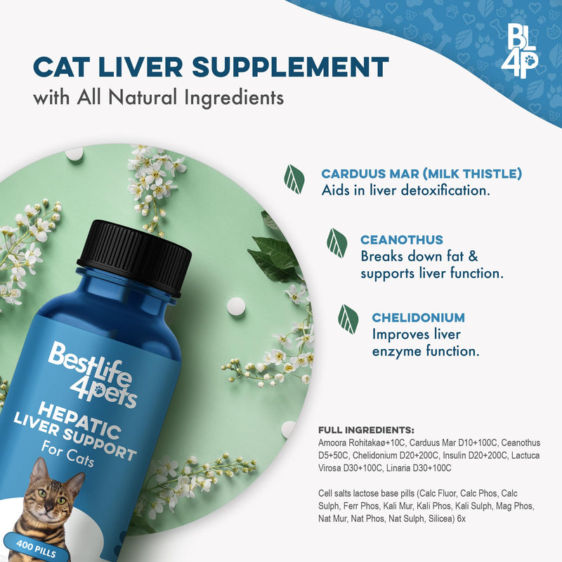 Hepatic Liver Support for Cats Dissolvable,Homeopathic, Digestive Feline Supplement for Liver Detox and Nutrient Absorption 100% All Natural, Easy to Give, Free of Chemicals or Additives, 400 Pills - BeesActive Australia