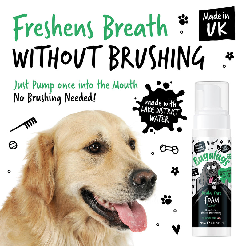 BUGALUGS Dog Breath Freshener Dental Care Foam. Clean Teeth, Healthy Gums & Fresh Breath - Natural Dog plaque remover & tartar remover for teeth - No Brushing Needed (Dog 210ml Foam) 210 ml (Pack of 1)