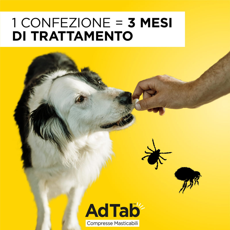 AdTab chewable tablets for dogs from 2.5 - 5.5 kg - 3 tablets dog 2.5kg - 5.5kg - BeesActive Australia