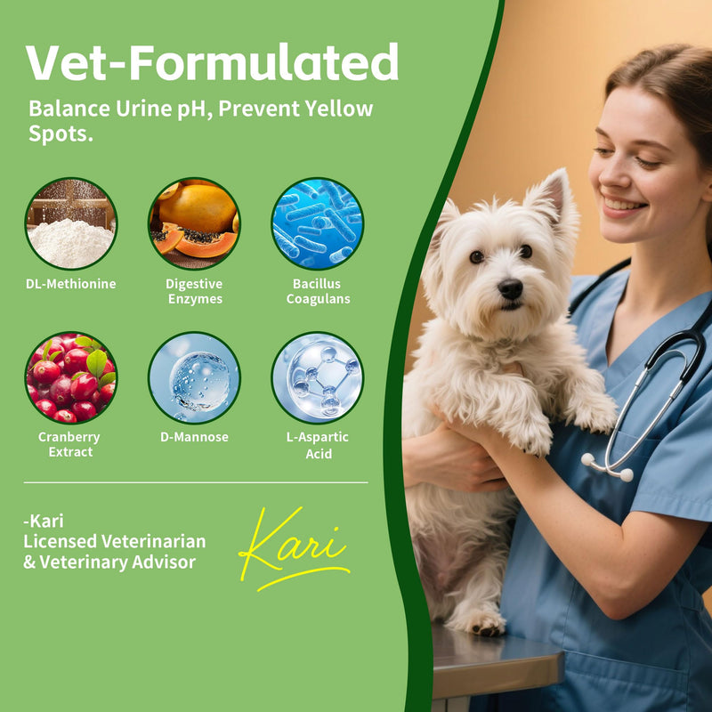 Cranberry Supplement for Dogs – Digestive Enzymes + Cranberry + DL Methionine –Pee Grass Spot Saver Caused by Dog Urine, Grass for Dogs, Dog Pee Green Grass Support, Lawn Spot Care Drops, 2 oz