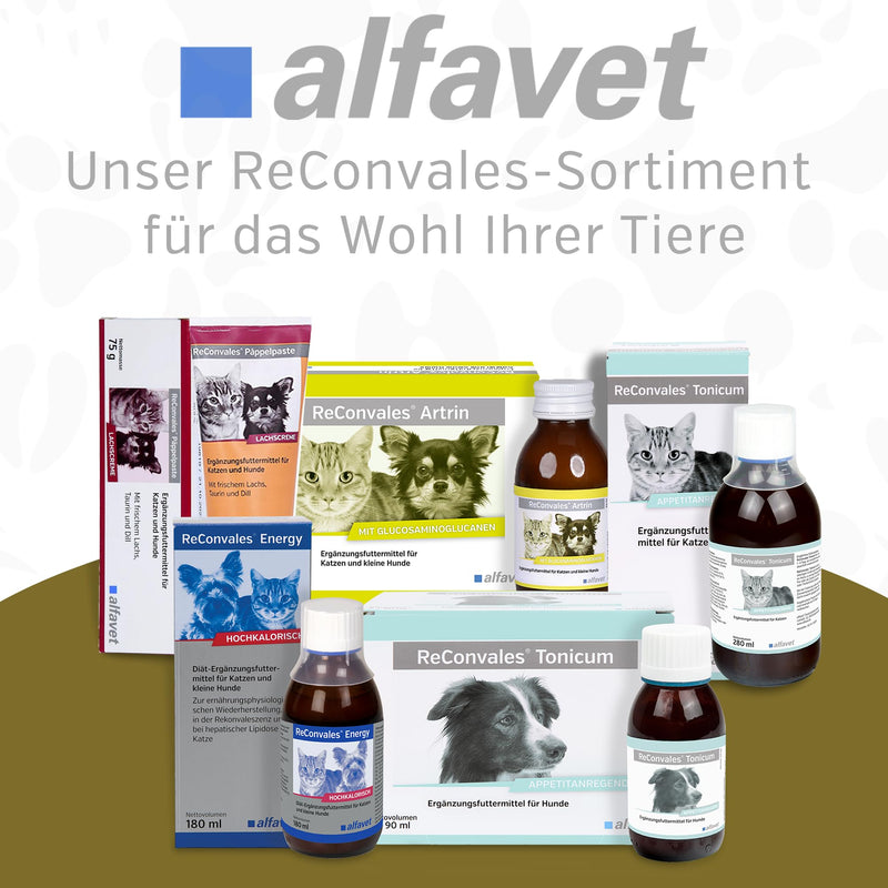 alfavet, ReConvales Gastro Balance for cats and dogs, for the care of the gastric mucosa with acidity regulator, supplementary feed, 3 x 90 ml - BeesActive Australia