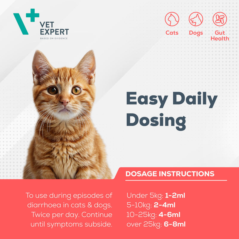 Vet Expert BioProtect Paste – Digestive Support for Dogs and Cats, Relieves Diarrhoea, Boosts Gut Health, and Restores Intestinal Balance with Probiotics, Prebiotics, and Bentonite (15 ml Syringe)
