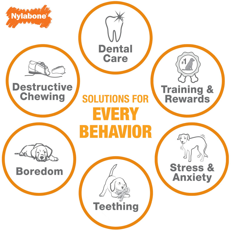 Nylabone Teething Puppy Chew Starter Kit, Two Puppy Chew Toys and Puppy Chew Treat, Puppy Supplies, Chicken & Bacon Flavor, Small/Regular (3 Count) Small/Regular (3 Count) - BeesActive Australia