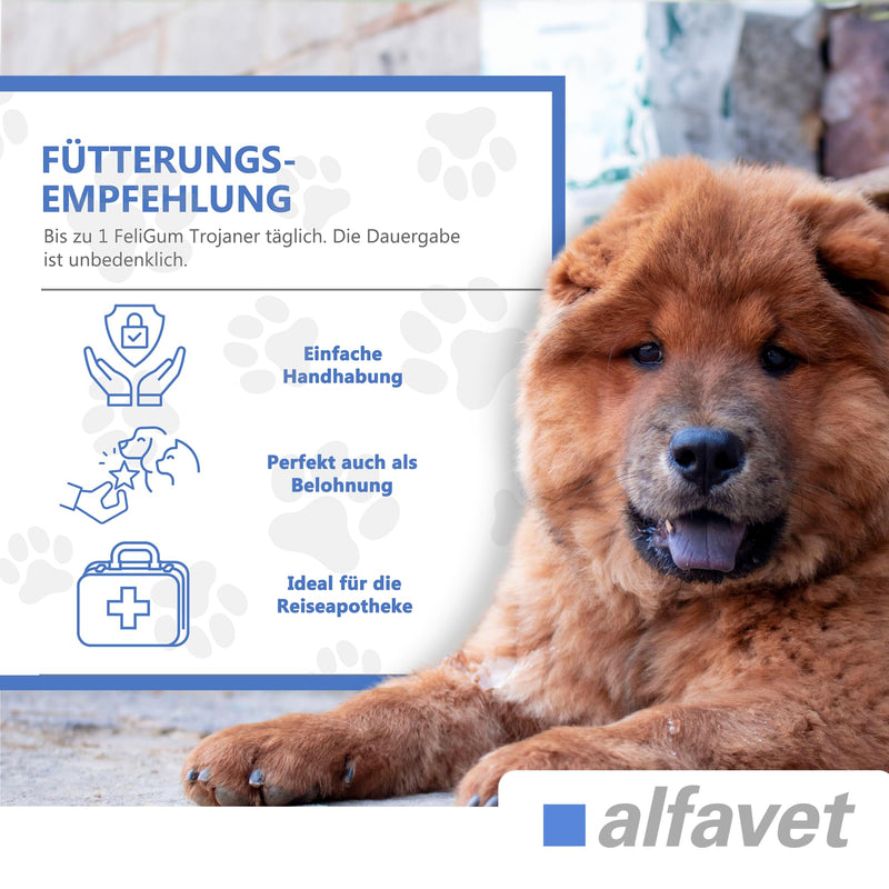 alfavet FeliGum Trojans 6 x 10 g – Moldable treats for hiding tablets – Tasty snacks for easy and stress-free medication administration – Supplementary food for cats and dogs - BeesActive Australia