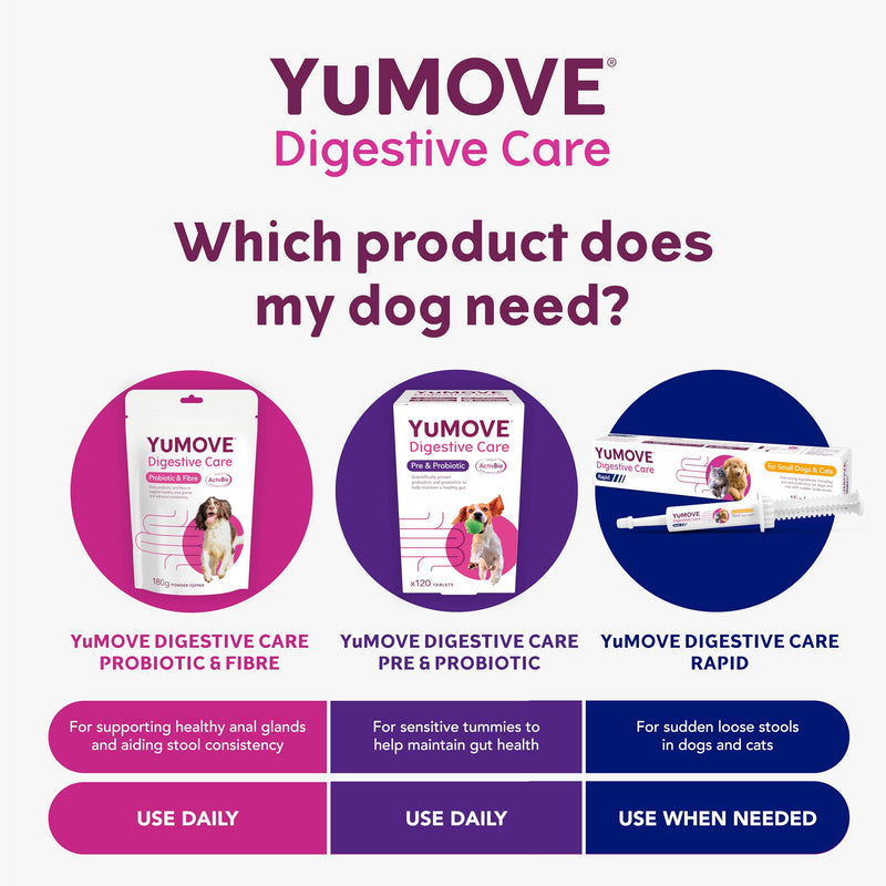 YuMOVE Digestive Care Rapid, Dog & Cats Pre and Probiotic Paste for Gut Health, Digestive Supplements with Fast-Acting Ingredients for Small Dogs & Cats, 2 x15ml 2 Pack 15ml