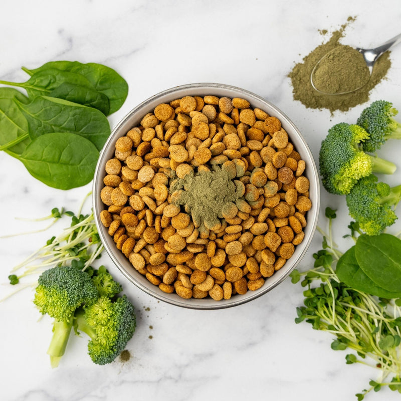 iHeartDogs Super Greens for Dogs with Broccoli Sprouts & Spirulina Powder - Seasonal Allergy & Immune Support Dog Greens Powder - Vitamins, Antioxidants & Minerals Supplement for Dogs - PawsPlanet Australia