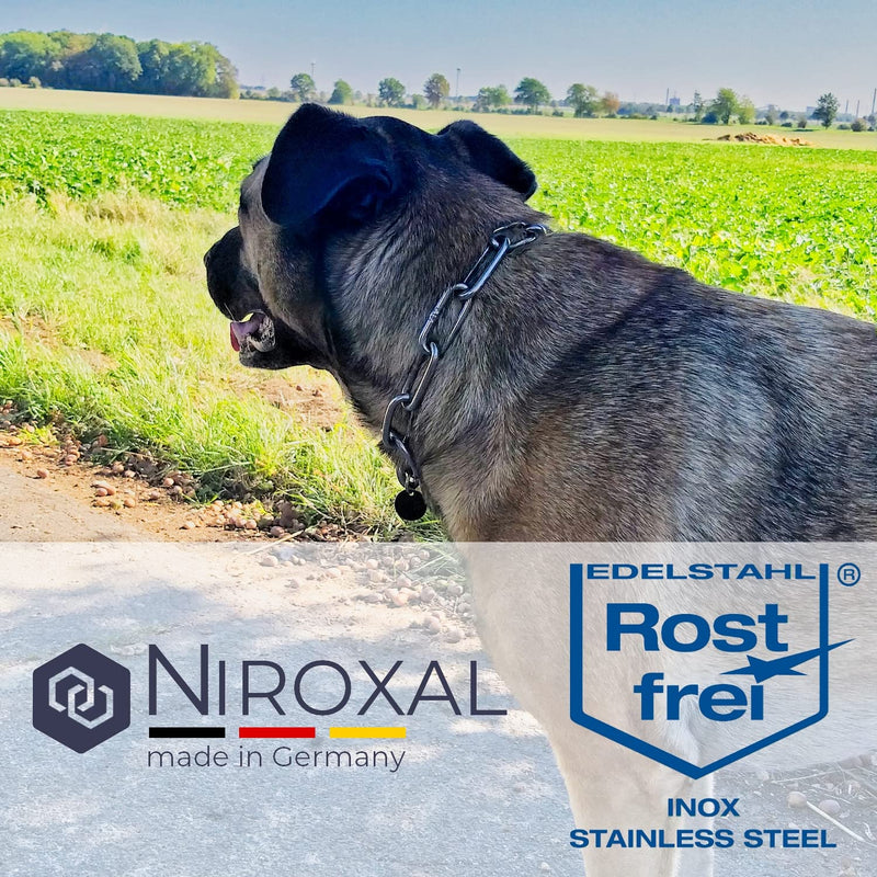 Chain choker for dogs with head circumference 43-46 cm made of V4A stainless steel dog chain with pull stop chain collar long links 4mm thick and 55 cm total length Total length: 55 cm Thickness: 4 mm - BeesActive Australia