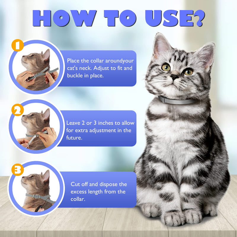 Flea and Tick Collar for Cats, 8 Months of Cat Flea Collar Protection 2 Collars Made with Premium Plant Based Essential Oil Waterproof and Natural Treatment Prevention Free Comb, 2Pack - BeesActive Australia