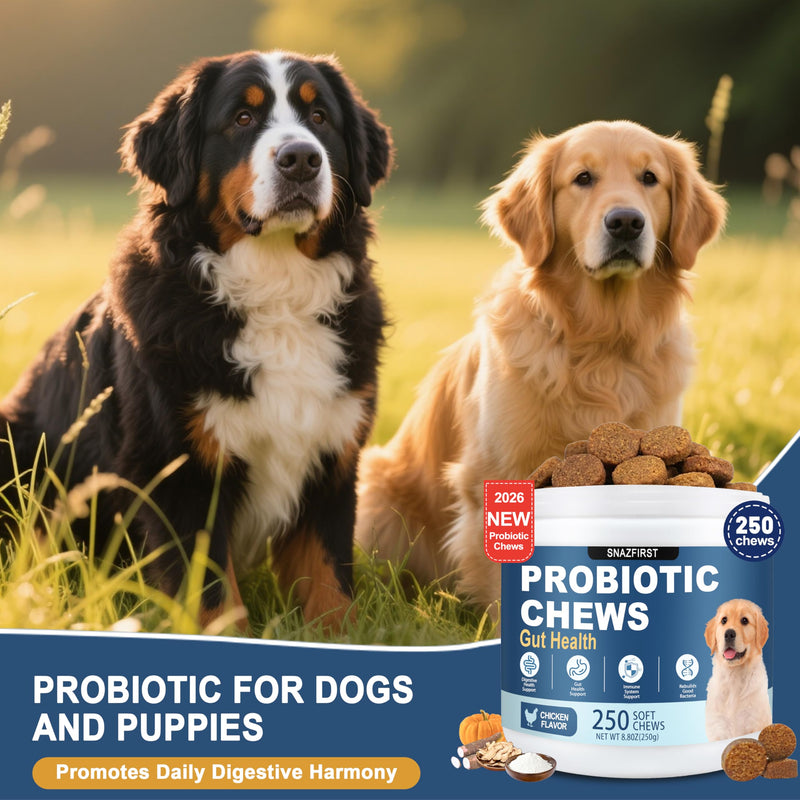 Probiotics for Dogs, Dog Probiotics Chews for Digestive Health & Gut Health, Improve Immune System,Constipation & Diarrhea Relief(Chicken Flavor, 250 Chews) 250 CHEW